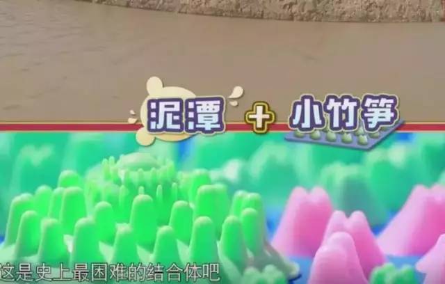 邓超陈赫泥潭跳马是哪一季哪一期,邓超和陈赫去找魏大勋