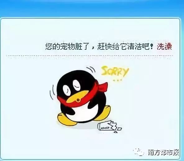 qq宠物为什么要停运,qq宠物停运还能放出宠物吗