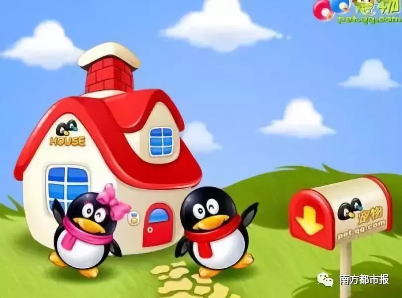 qq宠物为什么要停运,qq宠物停运还能放出宠物吗