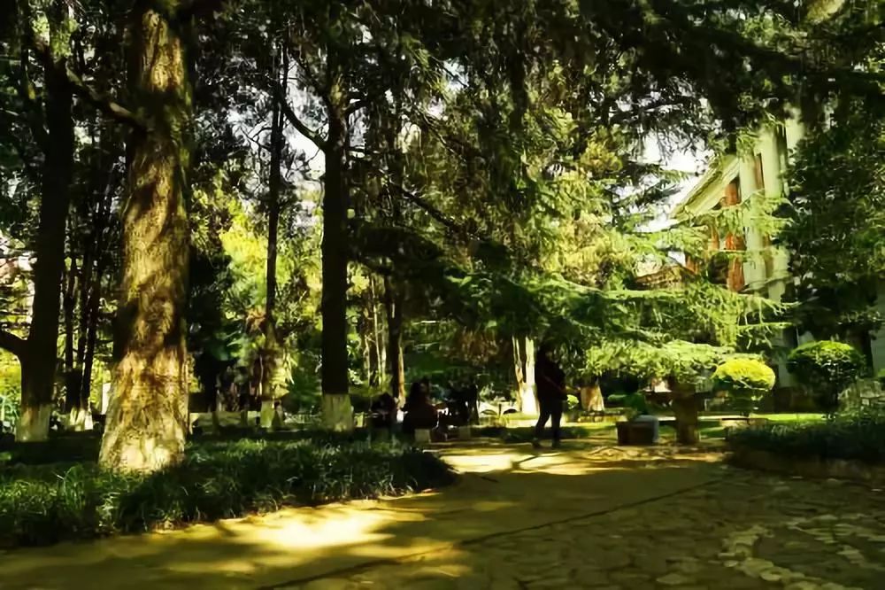 西安去昆明高铁票价,西安市至昆明市高铁票