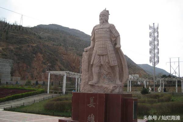 姜维如何评价,姜维说赵云匹夫