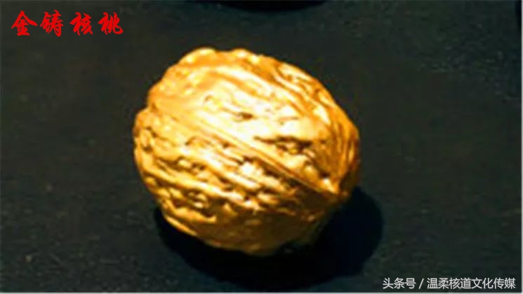 魔鬼核桃是什么,魔鬼核桃