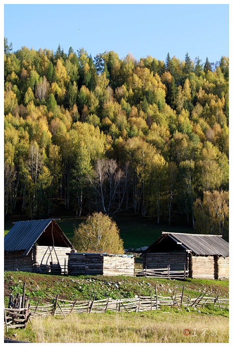 喀纳斯禾木村哪个值得去,喀纳斯禾木村白哈巴村