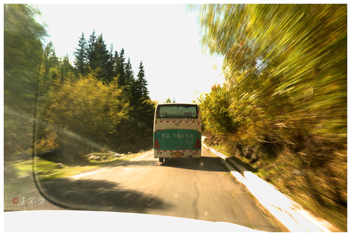 喀纳斯禾木村哪个值得去,喀纳斯禾木村白哈巴村