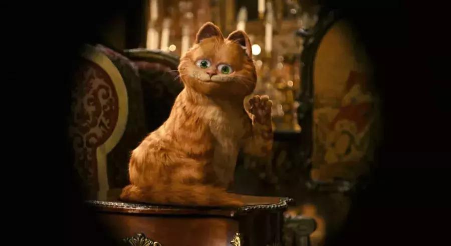 梅根为什么穿裤子,为什么梅根讨人嫌