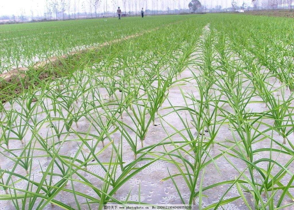 种地教育人,教育种地