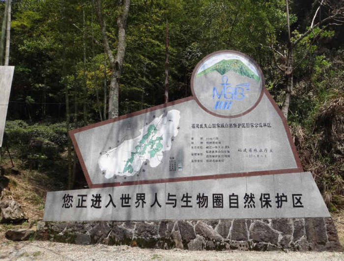 金骏眉是红茶么,金骏眉红茶礼盒