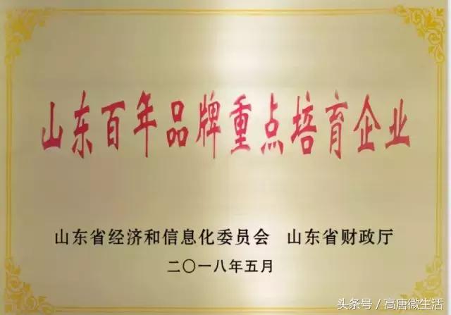 泉林总决赛第一人称,泉林冠军