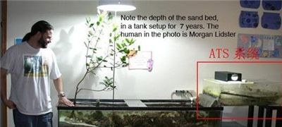 海缸降亚硝酸盐最快方法,硝酸盐中毒急救