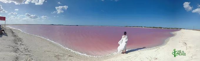 墨西哥雄鹰,墨西哥玛雅文明旅行