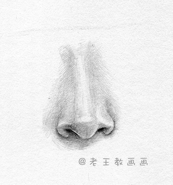 素描五官之鼻子结构图解,鼻子人脸素描画法视频教程
