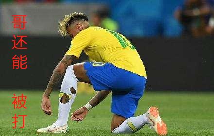 世界杯章鱼哥预测,章鱼哥预言世界杯