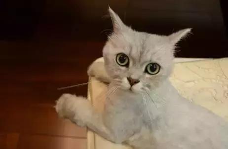 一篇文章告诉你,为什么要来北京念大学!除了清北曾是皇家园林,还有哪些更美的地方?