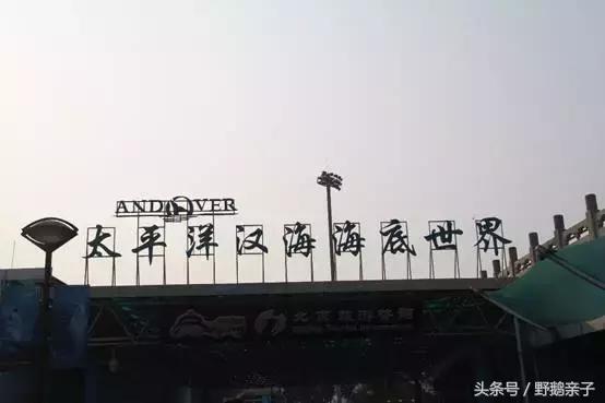 这个夏天去北京旅游好玩吗,夏天适合去的海底世界