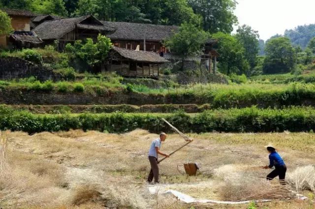 这竟然是农村！中国最美乡村Top10，有你家乡吗？