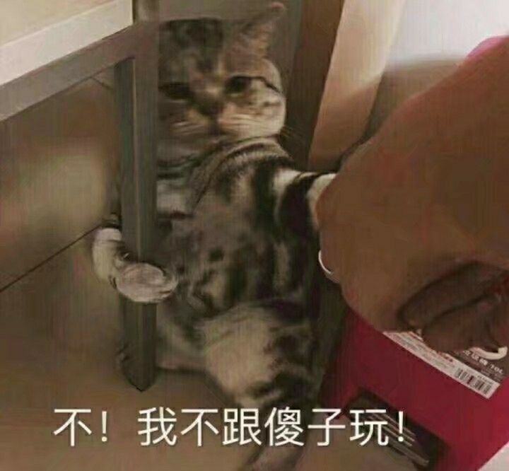 傻子的表情包图片大全,傻子专用表情包图片