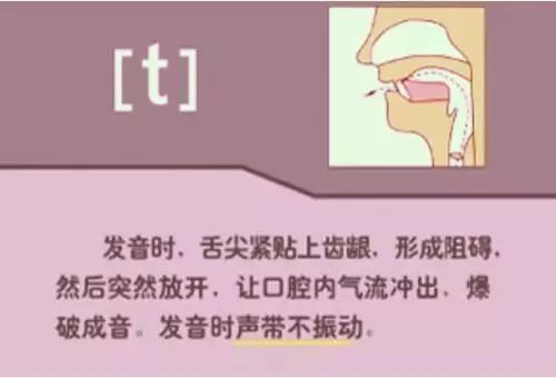 48个英语音标快速记忆顺口溜图片,国际英语48个音标发音视频教程