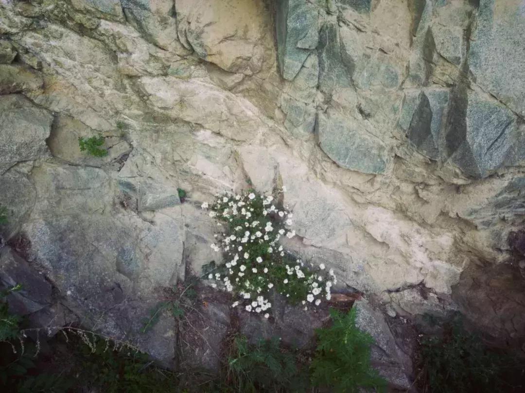 孟达天池与孟达自然保护区,西宁孟达天池旅游攻略