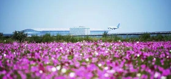 昆明最快几小时到西安高铁,昆明至西安高铁多少小时