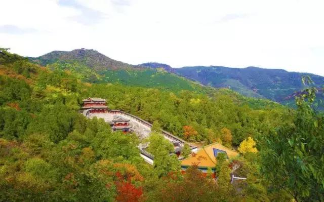 跟着世界杯去留学,跟着世界杯游世界