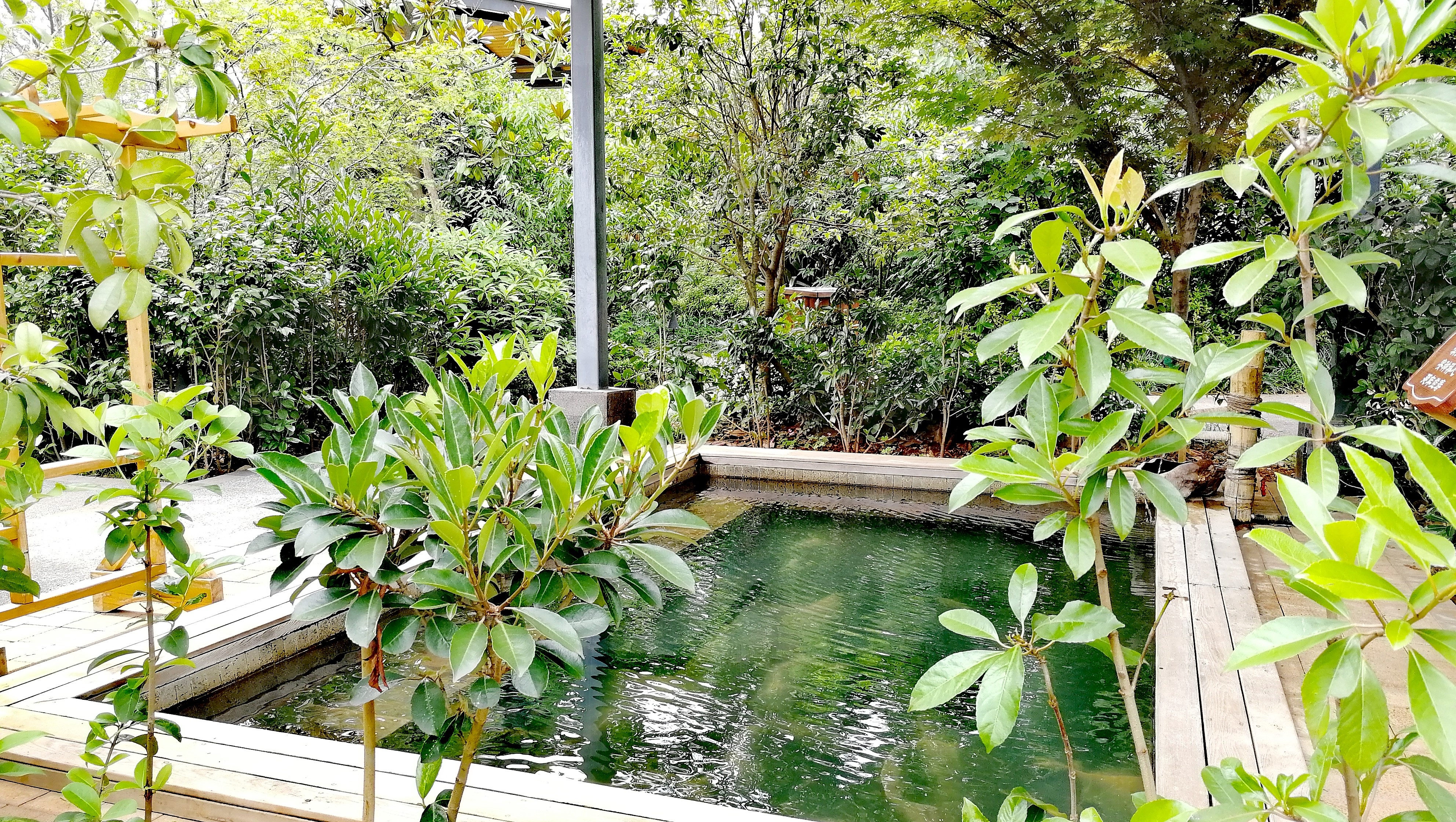 看花海，泡温泉，吃美食，周末就来这里！