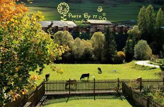 农村闲置农房如何处理好,闲置农房怎么盘活最好