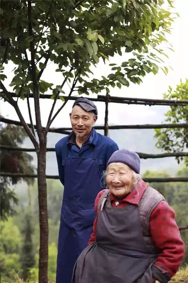 三联周刊,三联周刊讲述的是什么