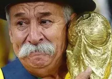 7月15日世界杯专题教育,世界杯有哪些教育知识