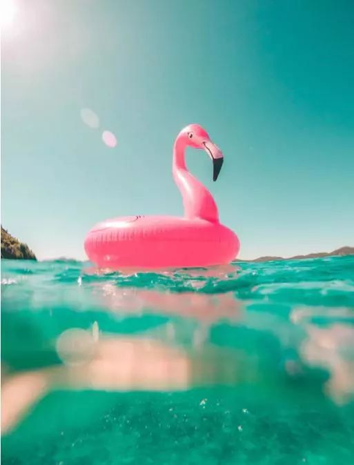 粉红说 唤醒你的少女心，免费申领活动开始啦！