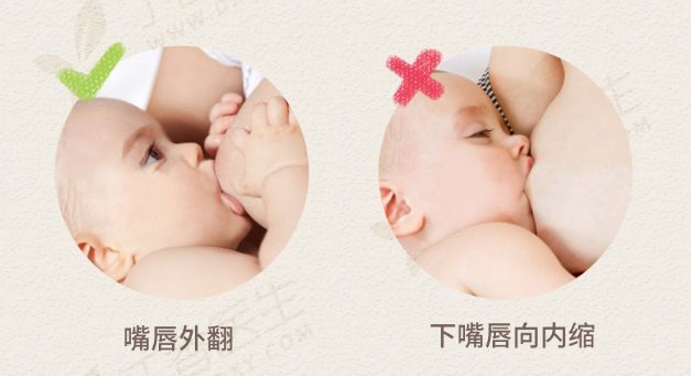 催奶最好最快最有效的办法,最有效最快的催奶方法