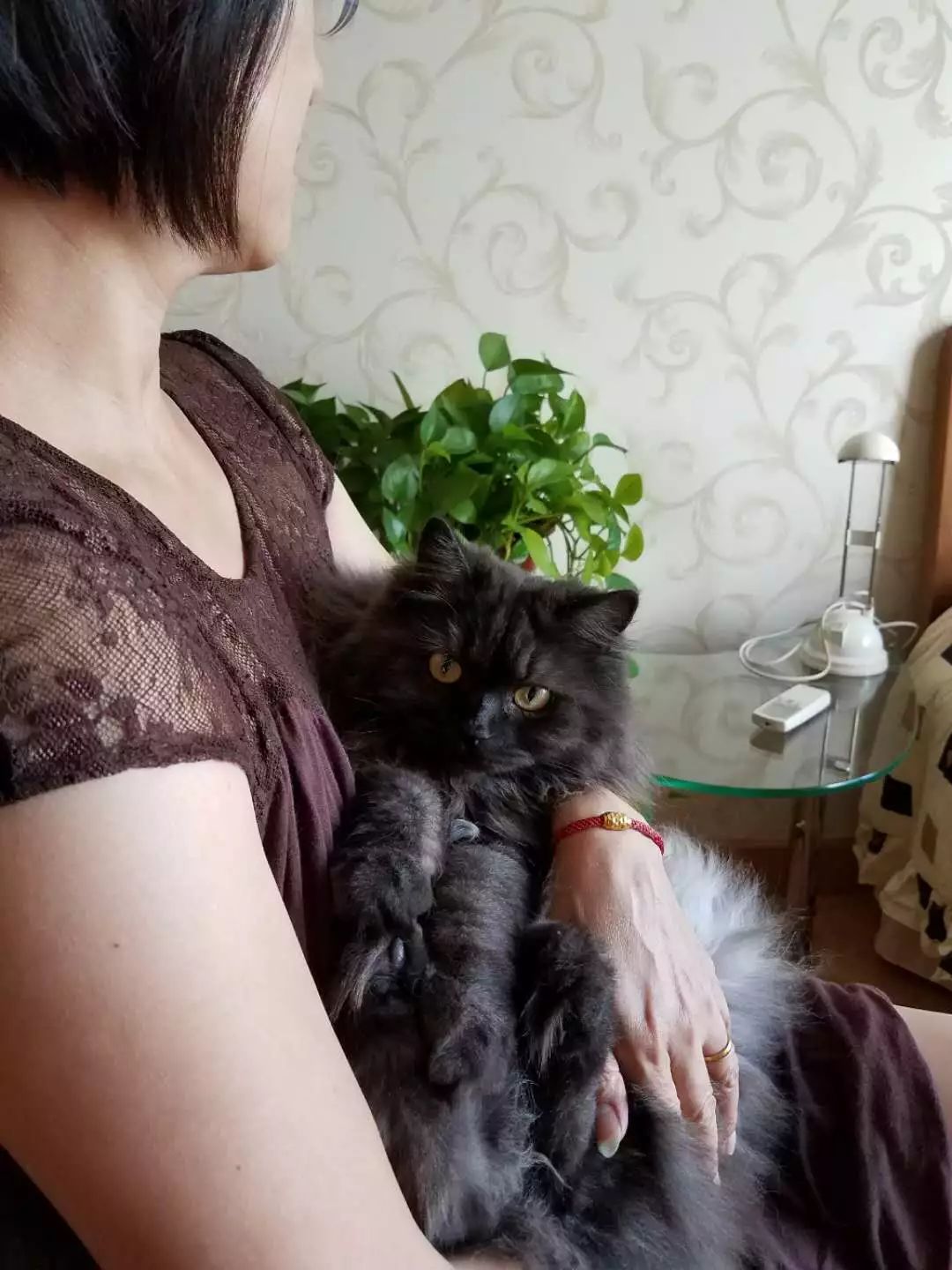 这个天津姐姐被自家猫咬了一口，然后杯具了！医学专家这样说……