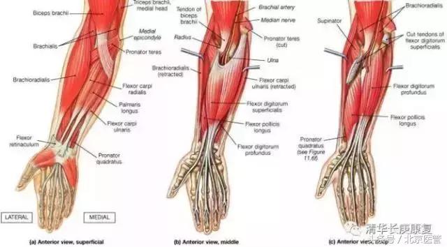 世界杯运动员受伤怎么处理,世界杯球员受伤对方球员赔偿吗