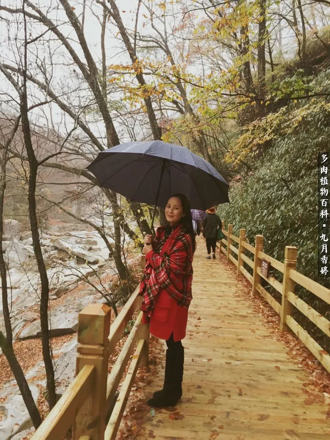 新手入坑必养多肉,刚入坑的多肉怎么养