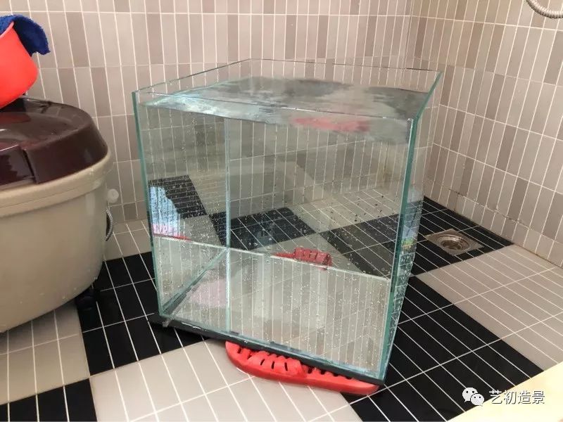 虾虎缸造景要什么过滤器,虾虎缸用什么石头造景好