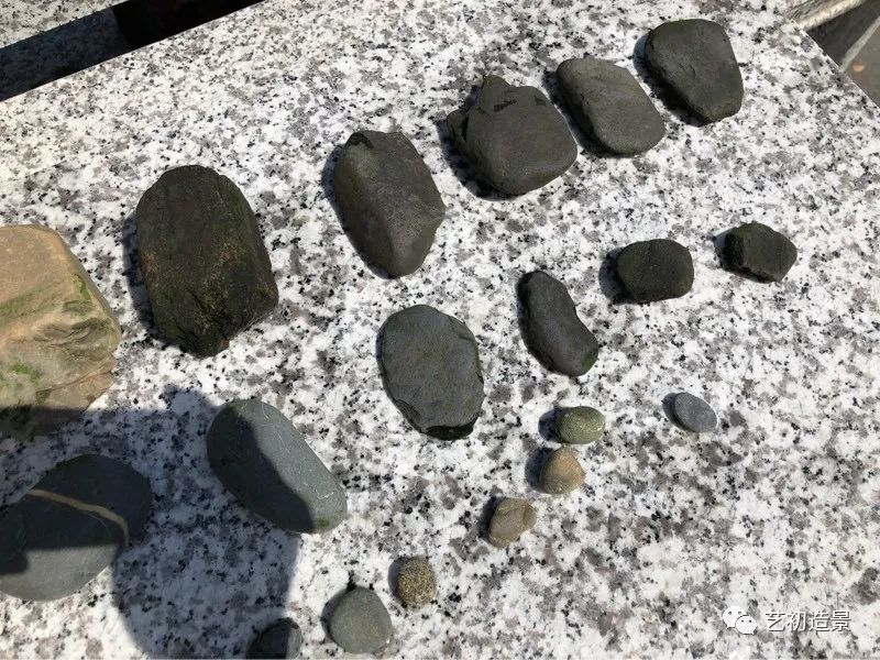 虾虎缸造景要什么过滤器,虾虎缸用什么石头造景好
