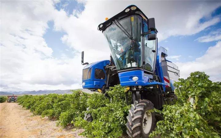 国外让人惊叹的农机收割葡萄,德国收割机收葡萄视频
