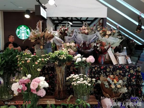 糖果翻译手机s30多少钱,糖果翻译手机应用