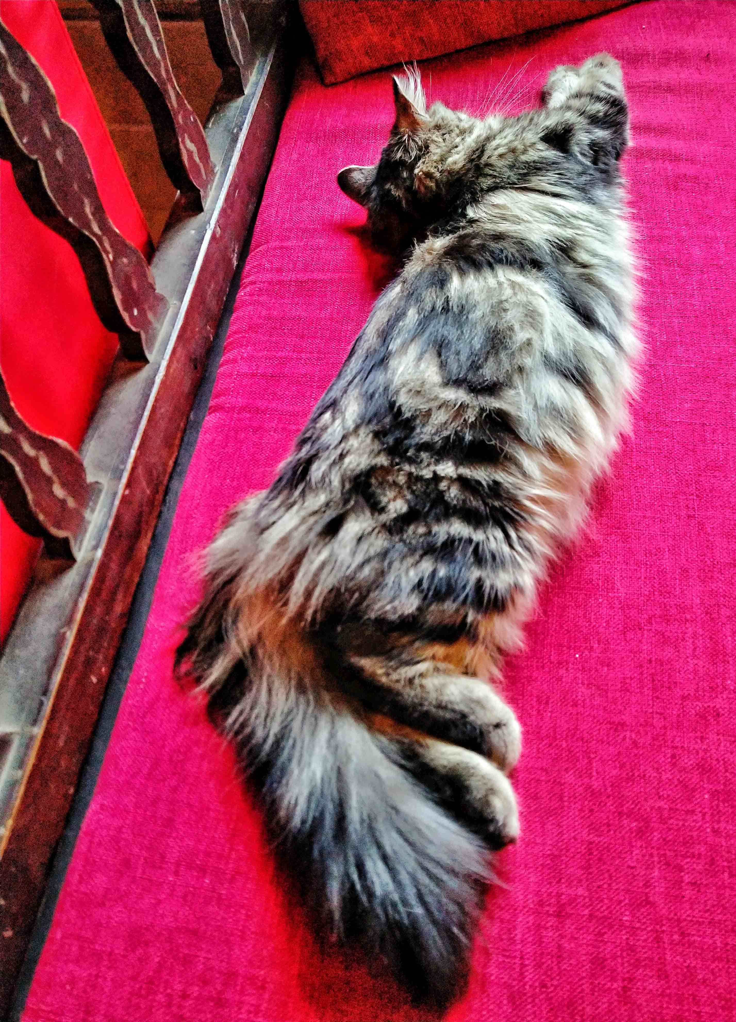 强迫症治疗一次需要多少钱,强迫症治疗一年费用多少