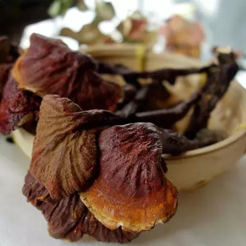 女性长期吃灵芝的功效与作用,女性长期吃灵芝孢子粉会便秘吗