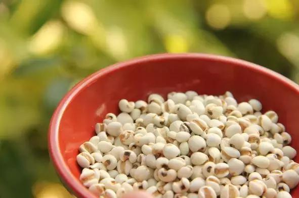 红豆薏米都是祛湿效果较好的食物,薏米和什么煮健脾祛湿