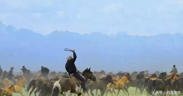 新疆伊力特酒哪款值得收藏,新疆伊力特曲酒10年咋样