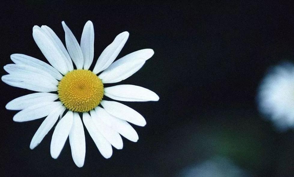 车祸离世捐献器官救3人,41岁男子车祸离世捐器官救7人