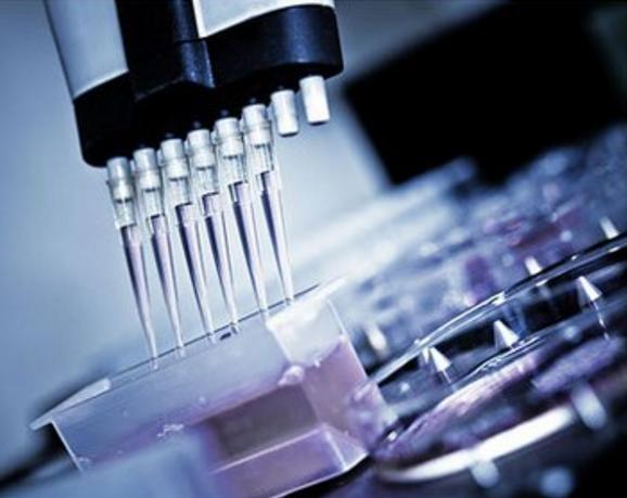 美国雅诚健康产业,美国雅诚健康有限公司