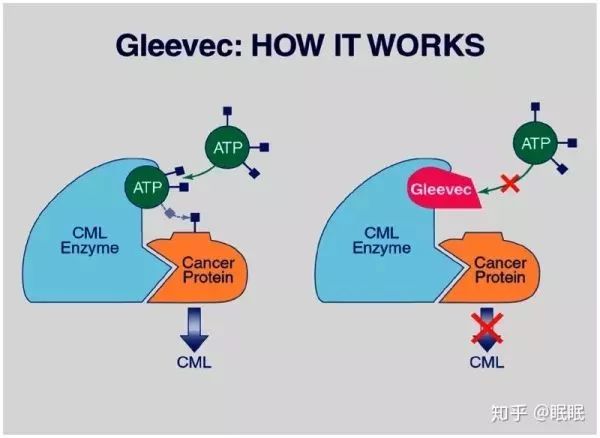 印度白血病新药,印度仿制白血病特效药
