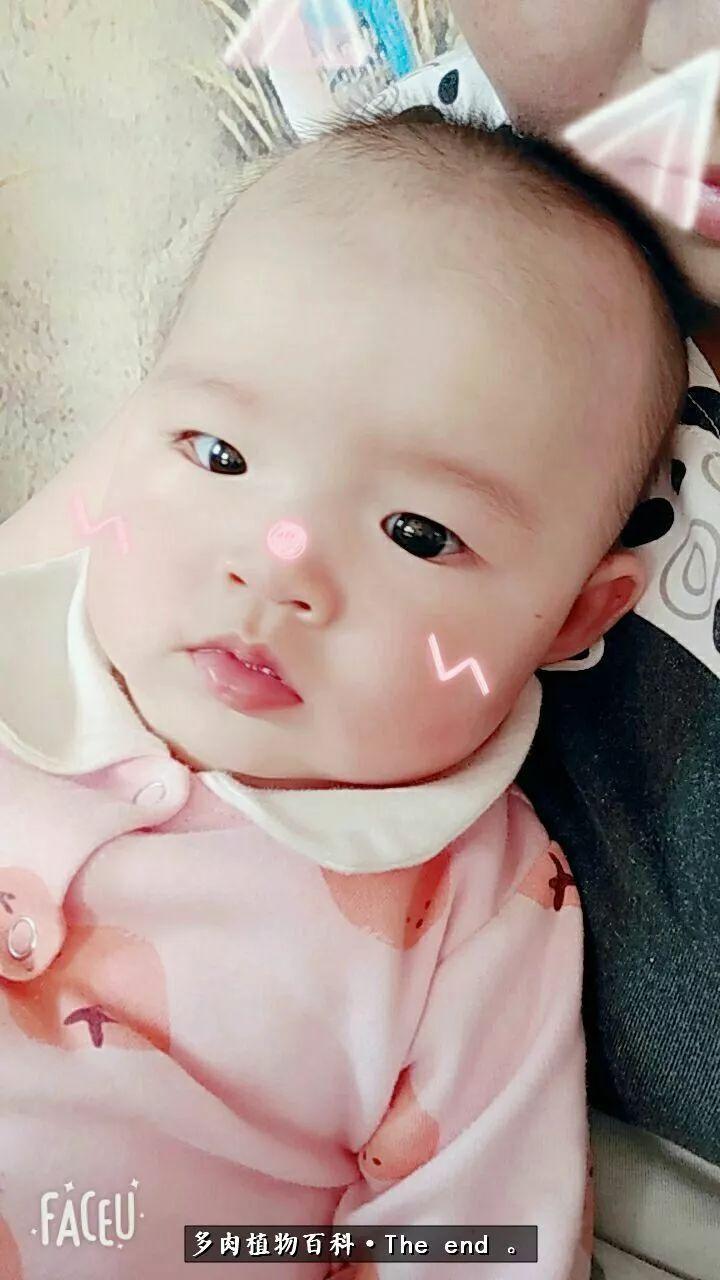 宝宝养多肉,养多肉宝妈