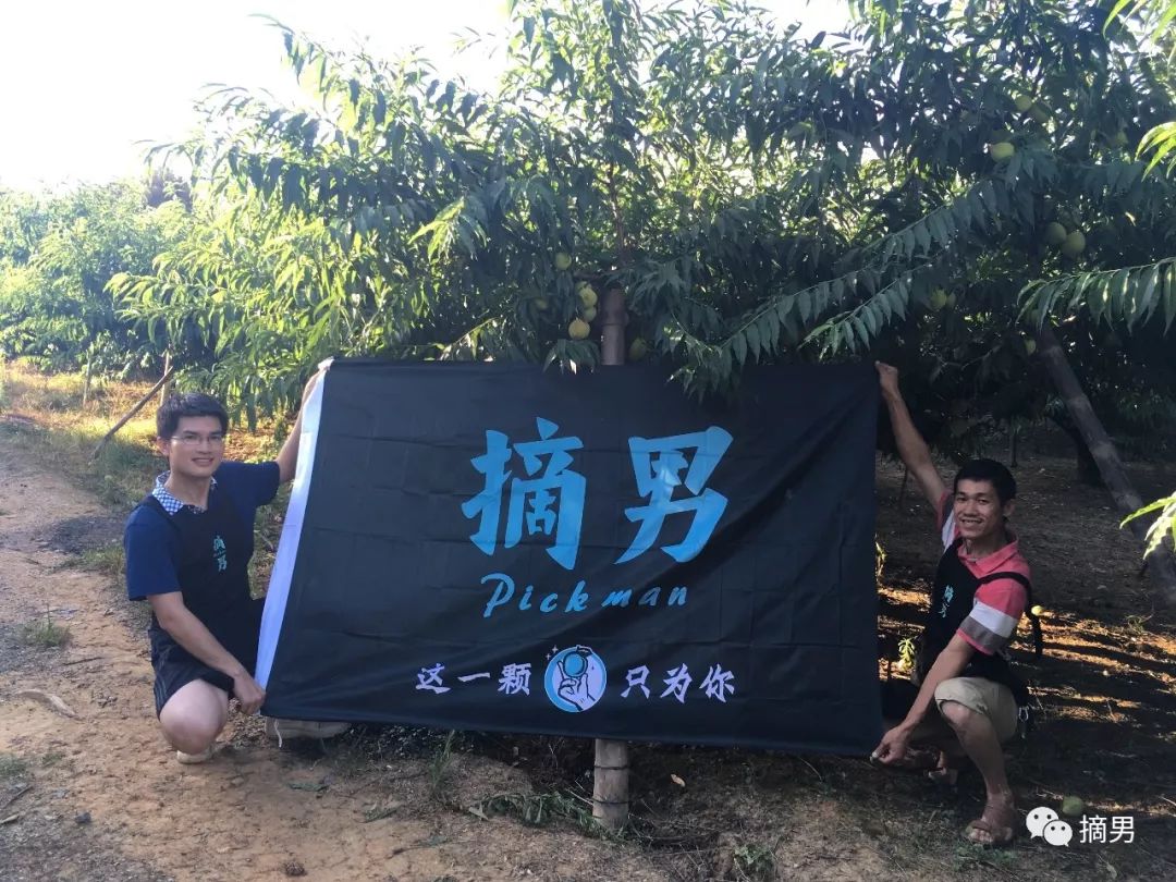 又脆又甜连平鹰嘴桃,连平正宗鹰嘴桃