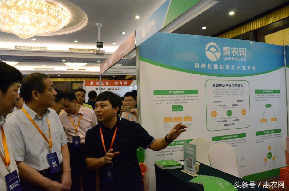 农村电商农业的新模式,农村农业电商新模式