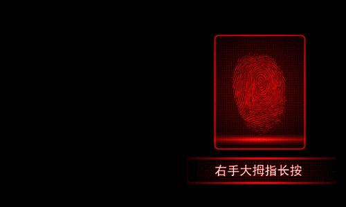 交通违法曝光台案例,交通违法曝光台