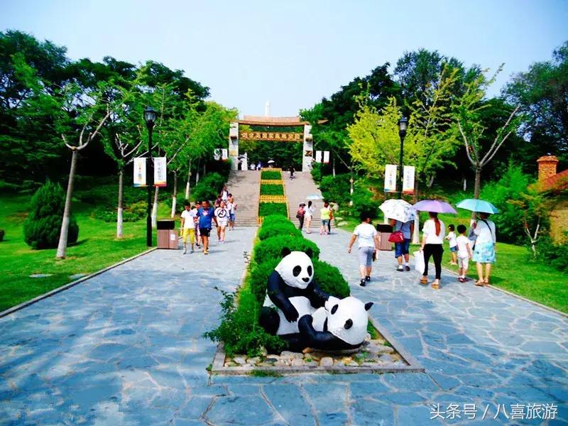 请问去威海怎么玩儿,第一次去威海怎么玩