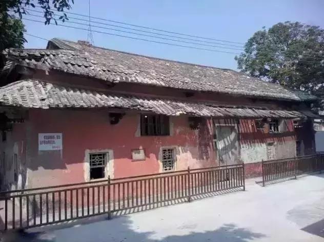 吴川超燃视频,吴川震撼的视频